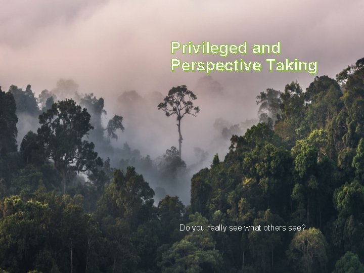 Privileged and Perspective Taking Do you really see what others see? Privileged and Perspective Taking Do you really see what others see?