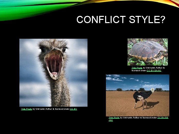 CONFLICT STYLE? This Photo by Unknown Author is licensed under CC BY-SA-NC This Photo CONFLICT STYLE? This Photo by Unknown Author is licensed under CC BY-SA-NC This Photo