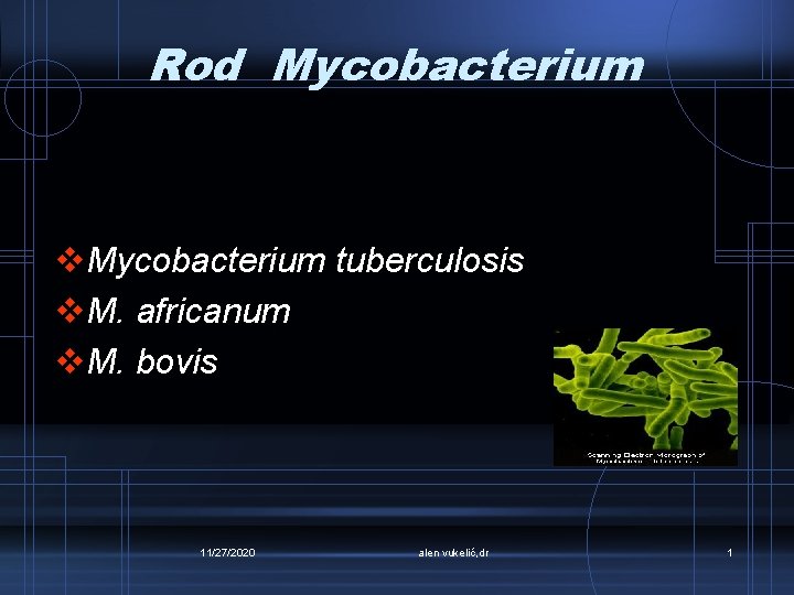 Rod Mycobacterium v. Mycobacterium tuberculosis v. M. africanum v. M. bovis 11/27/2020 alen vukelić,