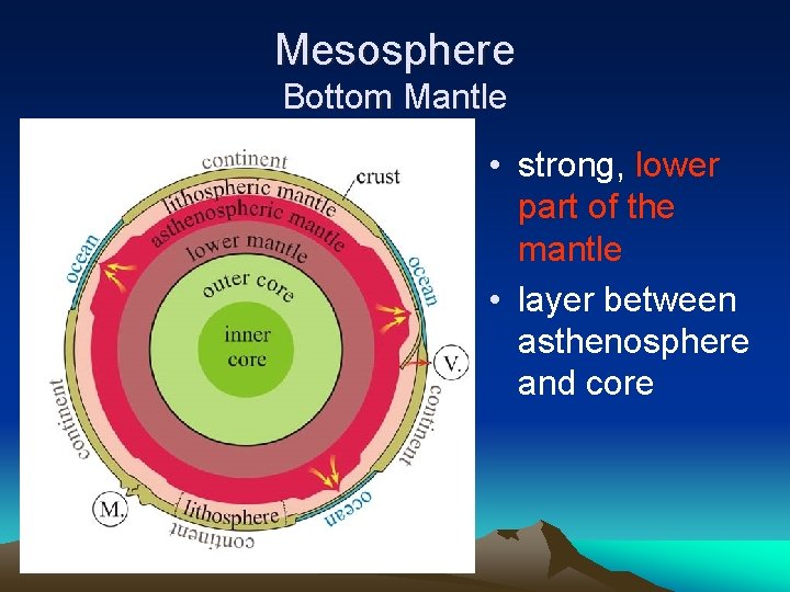 Mesosphere Bottom Mantle • strong, lower part of the mantle • layer between asthenosphere