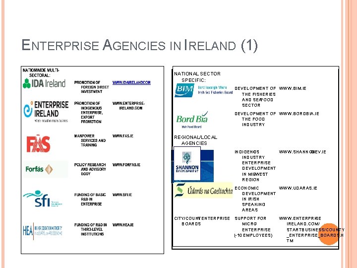 ENTERPRISE AGENCIES IN IRELAND (1) NATIONAL SECTOR SPECIFIC: DEVELOPMENT OF WWW. BIM. IE THE