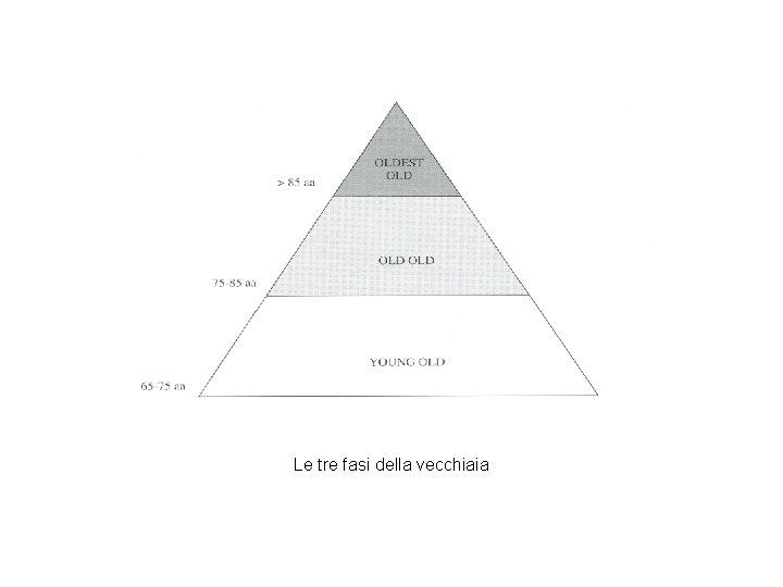 Le tre fasi della vecchiaia Le tre fasi della vecchiaia