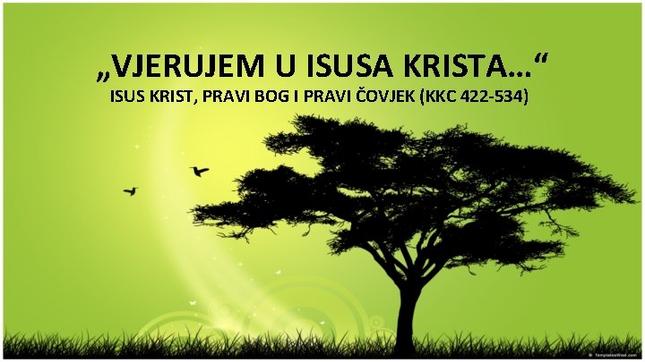 „VJERUJEM U ISUSA KRISTA…“ ISUS KRIST, PRAVI BOG I PRAVI ČOVJEK (KKC 422 -534)
