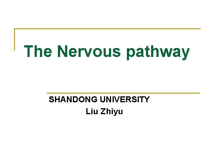 The Nervous pathway SHANDONG UNIVERSITY Liu Zhiyu The Nervous pathway SHANDONG UNIVERSITY Liu Zhiyu