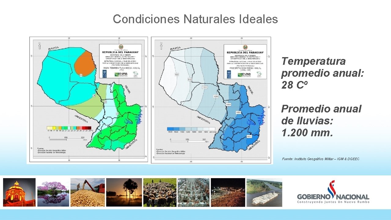 Condiciones Naturales Ideales Temperatura promedio anual: 28 Cº Promedio anual de lluvias: 1. 200