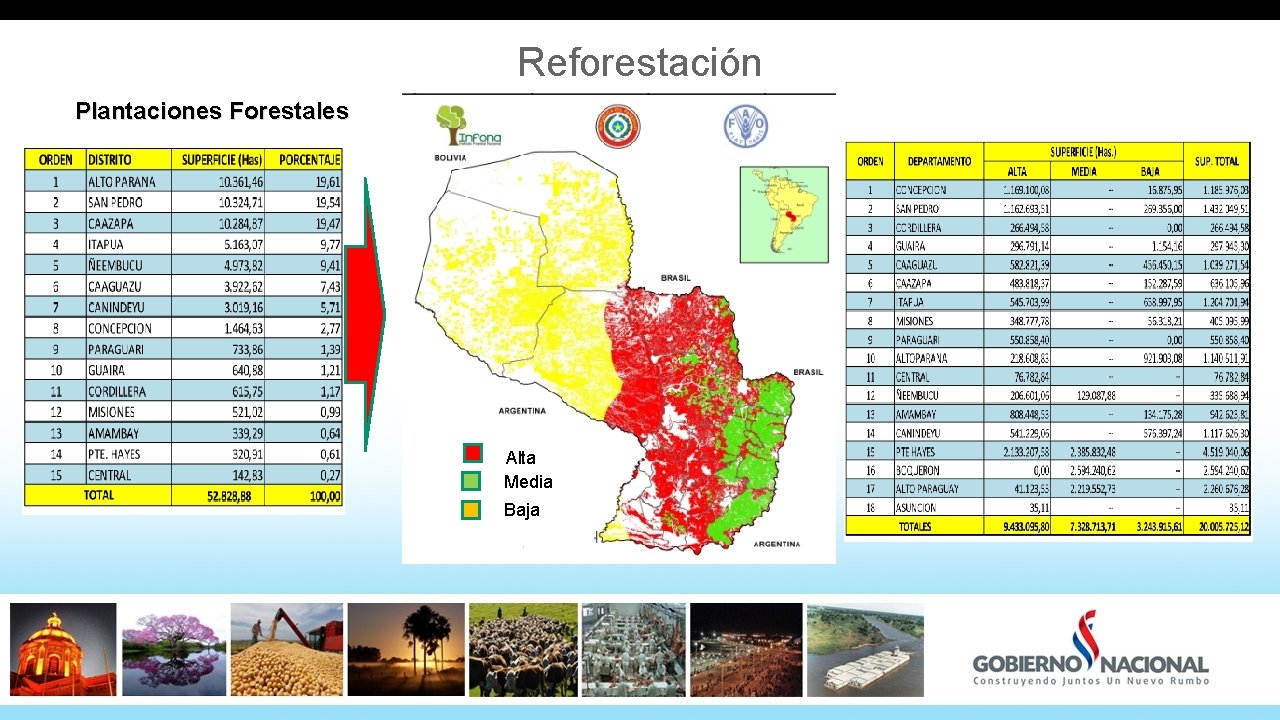 Reforestación Plantaciones Forestales Alta Media Baja 