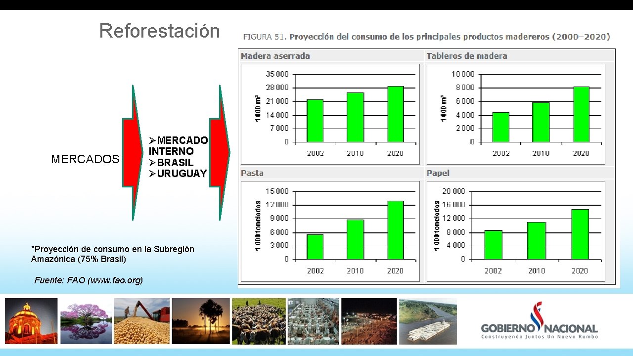 Reforestación MERCADOS ØMERCADO INTERNO ØBRASIL ØURUGUAY *Proyección de consumo en la Subregión Amazónica (75%