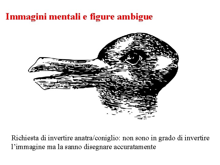 Immagini mentali e figure ambigue Richiesta di invertire anatra/coniglio: non sono in grado di