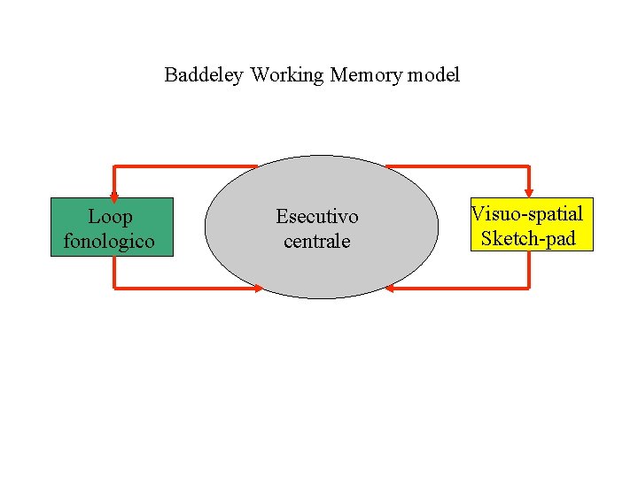 Baddeley Working Memory model Loop fonologico Esecutivo centrale Visuo-spatial Sketch-pad 