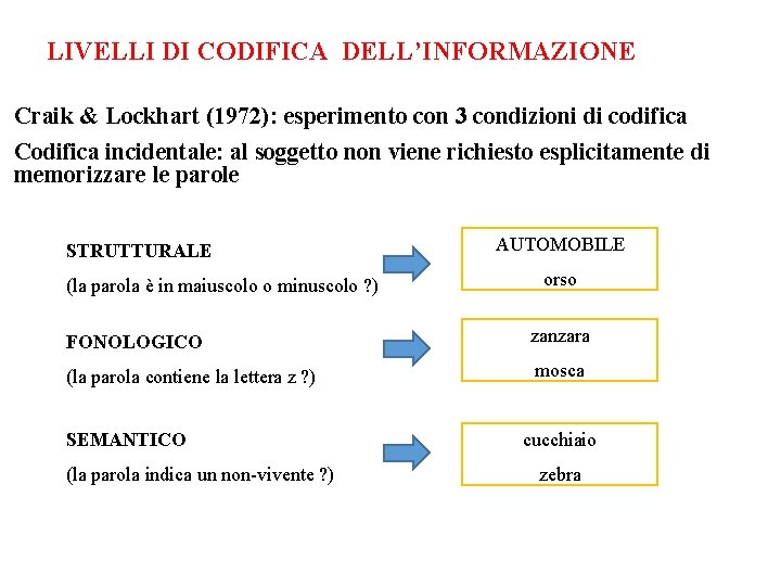 LIVELLI DI CODIFICA DELL’INFORMAZIONE Craik & Lockhart (1972): esperimento con 3 condizioni di codifica