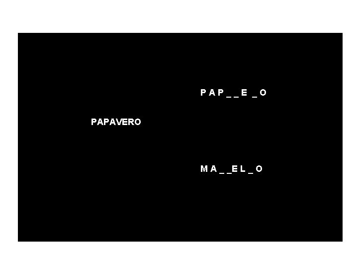 PAP__E _O PAPAVERO M A _ _E L _ O 