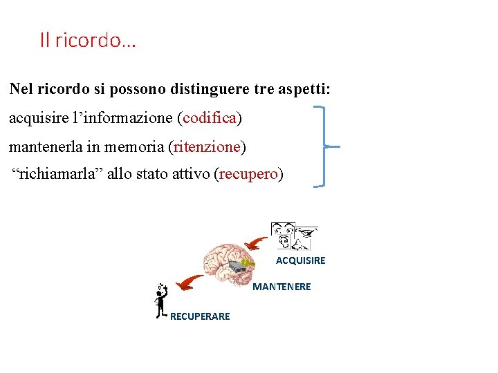 Il ricordo… Nel ricordo si possono distinguere tre aspetti: acquisire l’informazione (codifica) mantenerla in