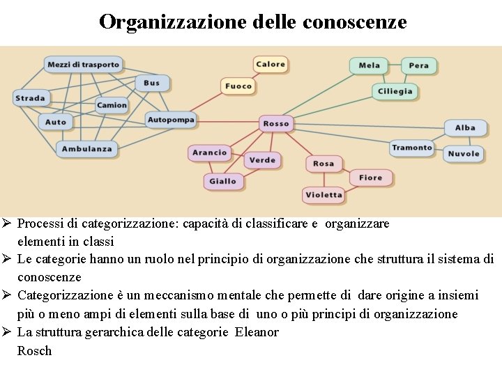 Organizzazione delle conoscenze Ø Processi di categorizzazione: capacità di classificare e organizzare elementi in Organizzazione delle conoscenze Ø Processi di categorizzazione: capacità di classificare e organizzare elementi in