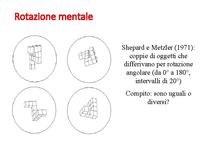 Rotazione mentale Shepard e Metzler (1971): coppie di oggetti che differivano per rotazione angolare