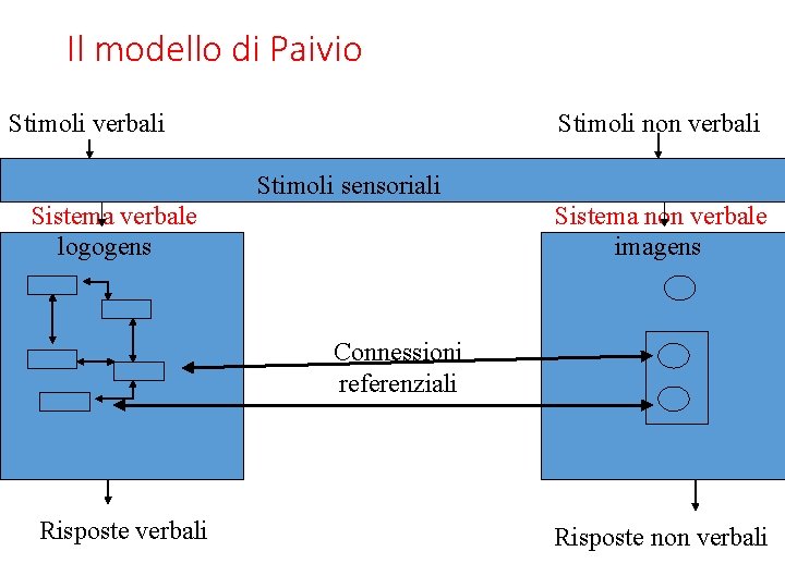 Il modello di Paivio Stimoli verbali Stimoli non verbali Stimoli sensoriali Sistema verbale logogens