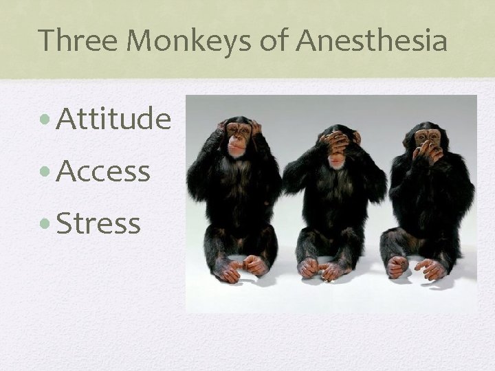 Three Monkeys of Anesthesia • Attitude • Access • Stress 