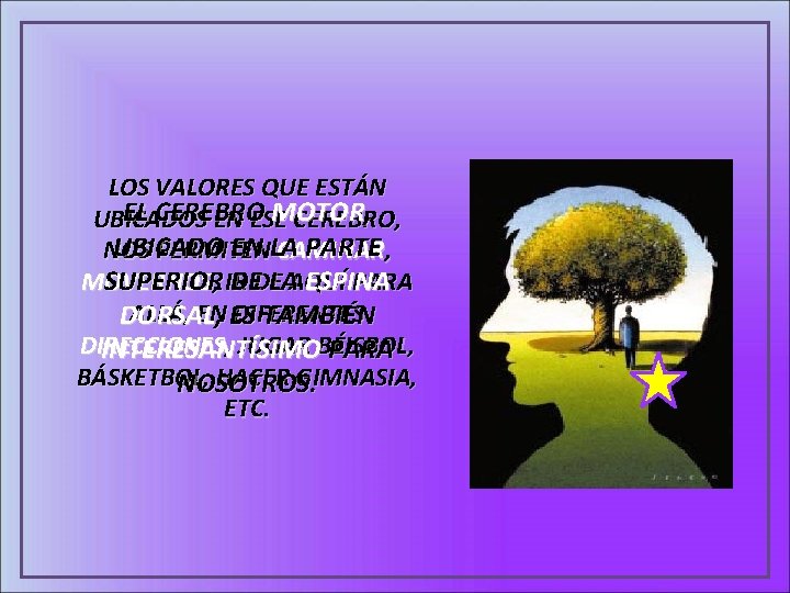 LOS VALORES QUE ESTÁN EL CEREBRO MOTOR , UBICADOS EN ESE CEREBRO, UBICADO EN