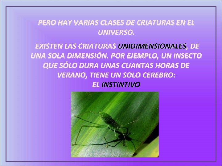 PERO HAY VARIAS CLASES DE CRIATURAS EN EL UNIVERSO. EXISTEN LAS CRIATURAS UNIDIMENSIONALES, DE