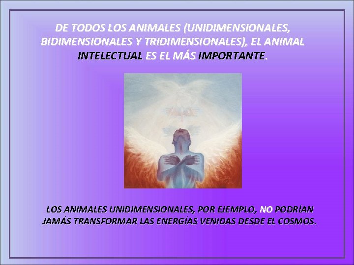 DE TODOS LOS ANIMALES (UNIDIMENSIONALES, BIDIMENSIONALES Y TRIDIMENSIONALES), EL ANIMAL INTELECTUAL ES EL MÁS