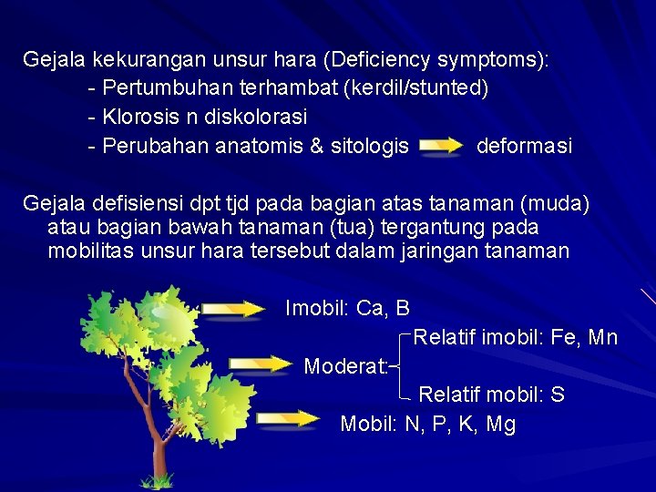 Gejala kekurangan unsur hara (Deficiency symptoms): - Pertumbuhan terhambat (kerdil/stunted) - Klorosis n diskolorasi