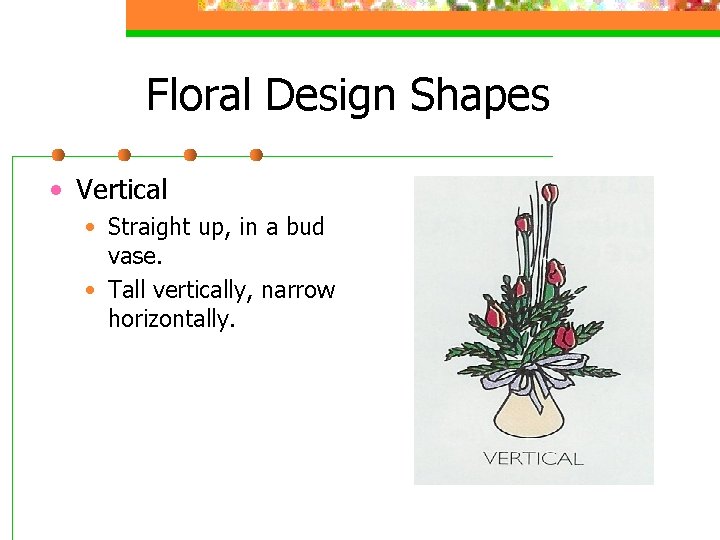 Floral Design Shapes • Vertical • Straight up, in a bud vase. • Tall