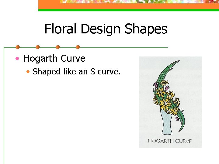 Floral Design Shapes • Hogarth Curve • Shaped like an S curve. 