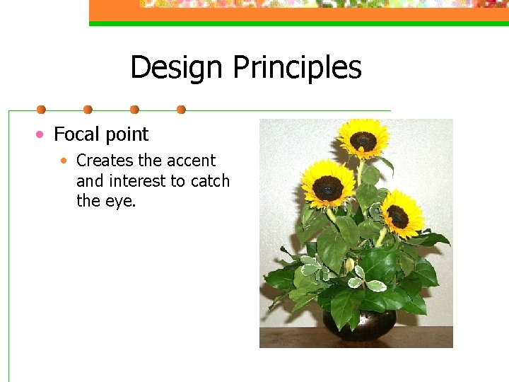 Design Principles • Focal point • Creates the accent and interest to catch the