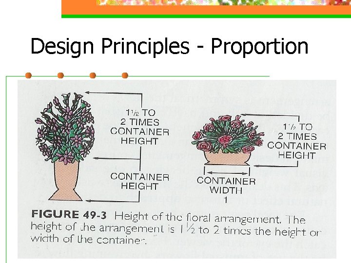 Design Principles - Proportion 