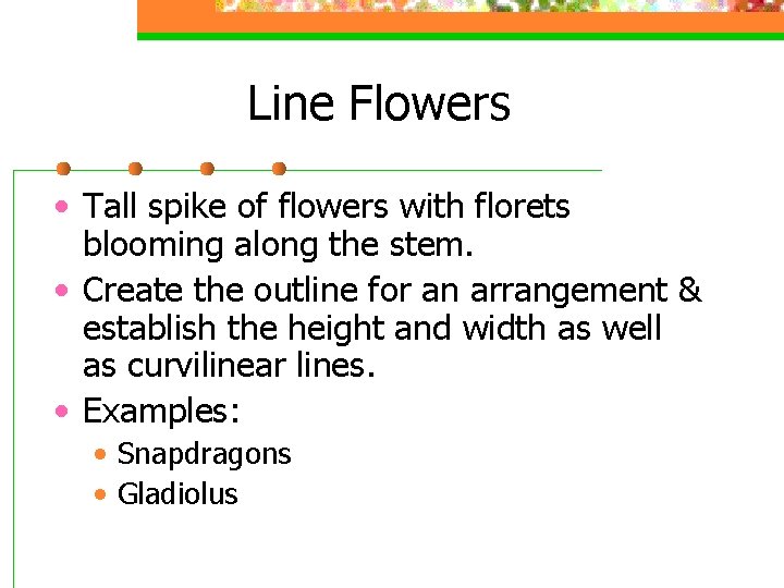 Line Flowers • Tall spike of flowers with florets blooming along the stem. •