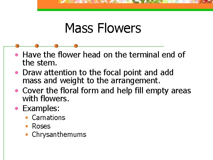 Mass Flowers • Have the flower head on the terminal end of the stem.