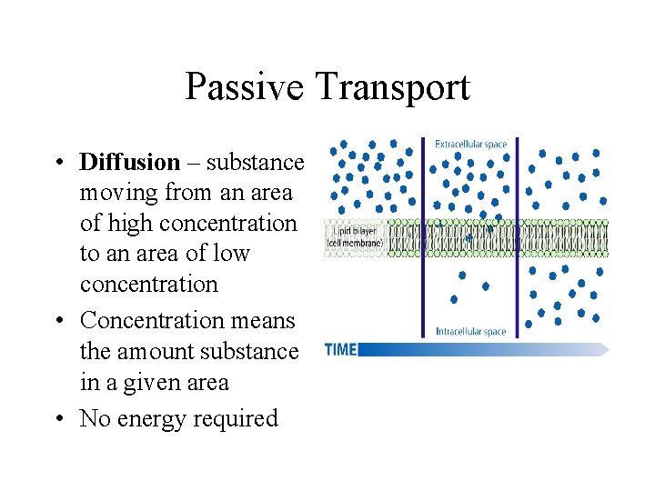 Passive Transport • Diffusion – substance moving from an area of high concentration to