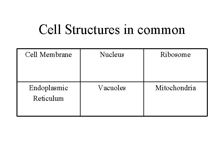 Cell Structures in common Cell Membrane Nucleus Ribosome Endoplasmic Reticulum Vacuoles Mitochondria 