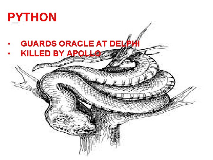 PYTHON • • GUARDS ORACLE AT DELPHI KILLED BY APOLLO 