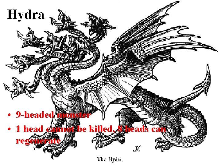 Hydra • 9 -headed monster • 1 head cannot be killed, 8 heads can