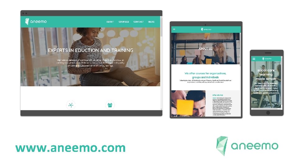 www. aneemo. com 