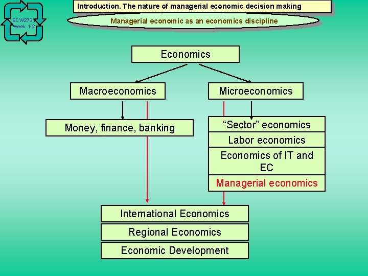 Introduction. The nature of managerial economic decision making ECW 2731 Week 1 -2 Managerial