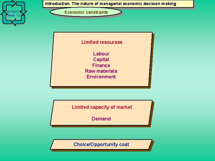 Introduction. The nature of managerial economic decision making ECW 2731 Week 1 -2 Economic