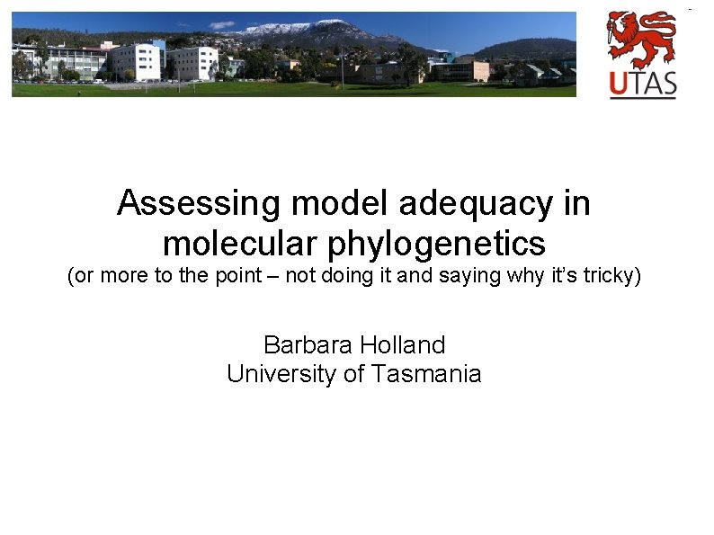 Assessing model adequacy in molecular phylogenetics (or more to the point – not doing