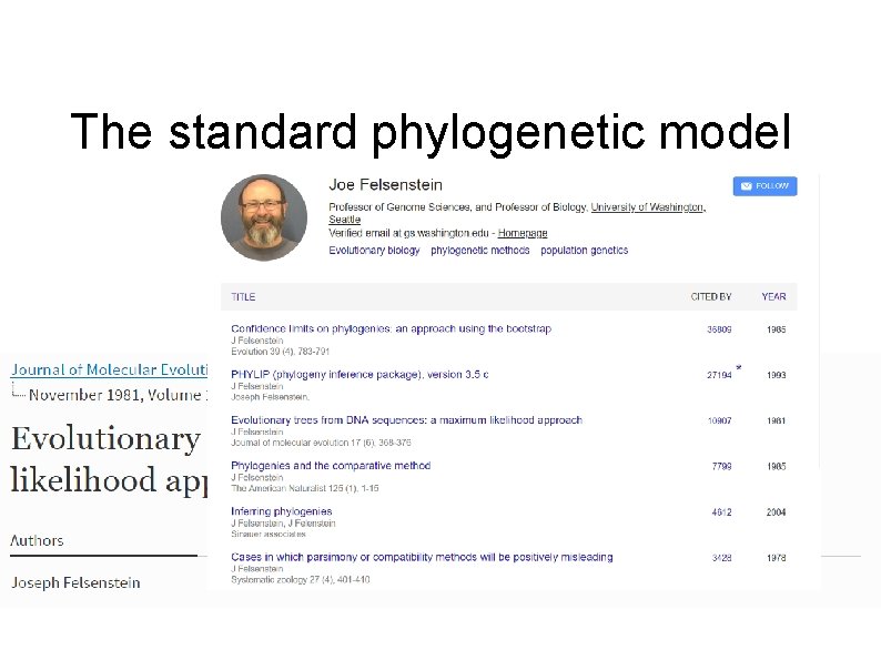 The standard phylogenetic model Joe Felsenstein 