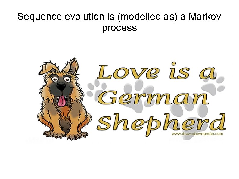 Sequence evolution is (modelled as) a Markov process A Consider a single edge in