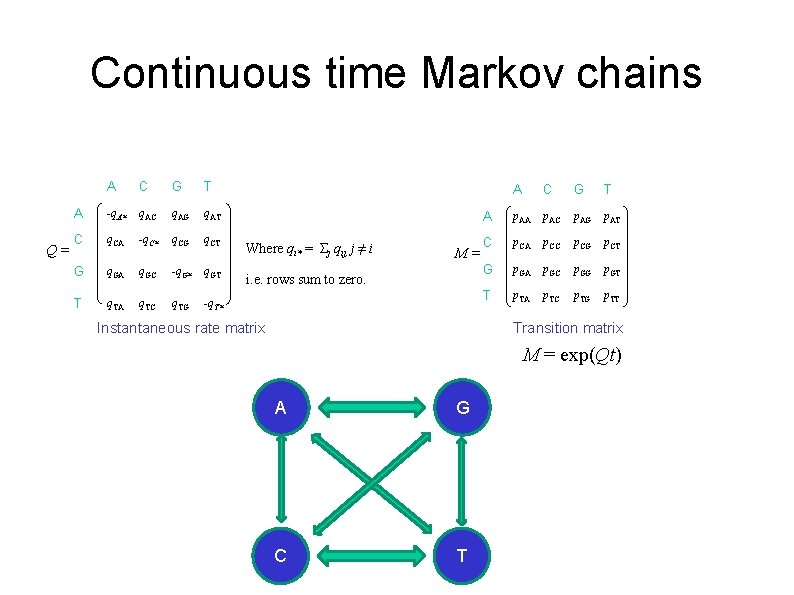 Continuous time Markov chains Q= A C G T A -q. A* q. AC