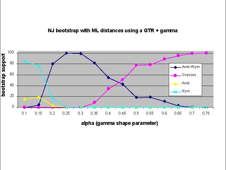 bootstrap support NJ bootstrap with ML distances using a GTR + gamma 100 80