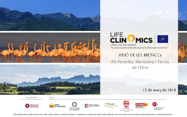 VISIÓ DE LES METACCs Alt Penedès, Montseny i Terres de l’Ebre 15 de març