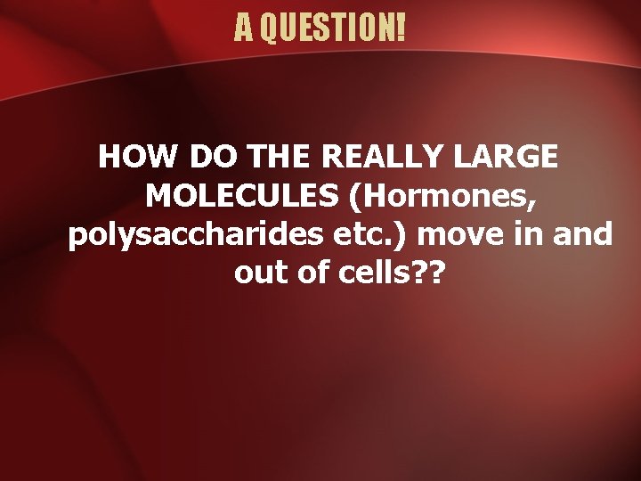 A QUESTION! HOW DO THE REALLY LARGE MOLECULES (Hormones, polysaccharides etc. ) move in