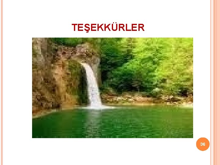 TEŞEKKÜRLER 36 