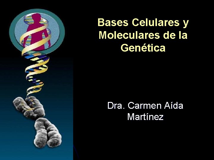 Bases Celulares y Moleculares de la Genética Dra. Carmen Aída Martínez 