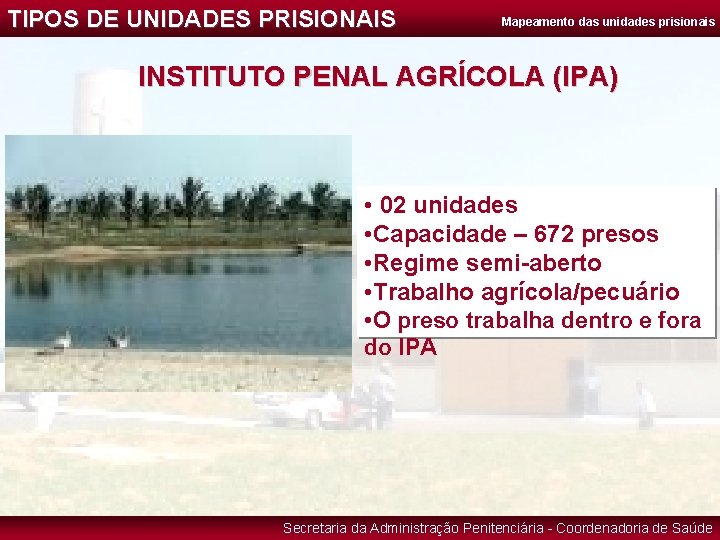 TIPOS DE UNIDADES PRISIONAIS Mapeamento das unidades prisionais INSTITUTO PENAL AGRÍCOLA (IPA) • 02