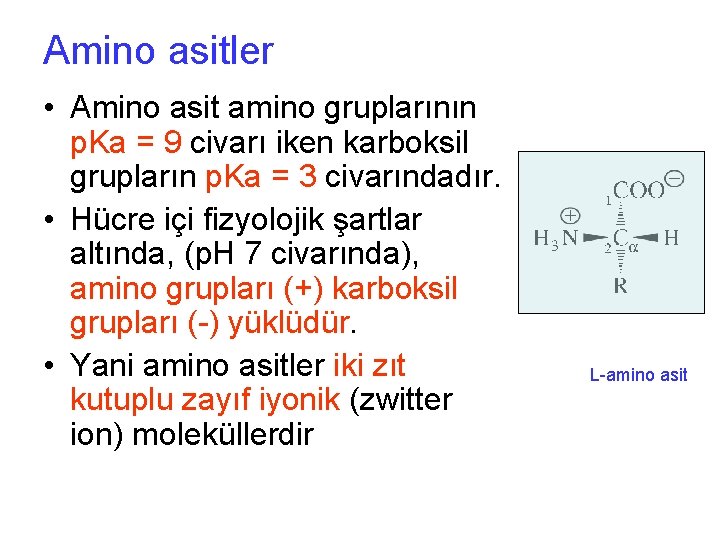 Amino asitler • Amino asit amino gruplarının p. Ka = 9 civarı iken karboksil
