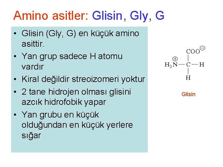 Amino asitler: Glisin, Gly, G • Glisin (Gly, G) en küçük amino asittir. •