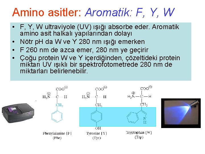 Amino asitler: Aromatik: F, Y, W • F, Y, W ultraviyole (UV) ışığı absorbe